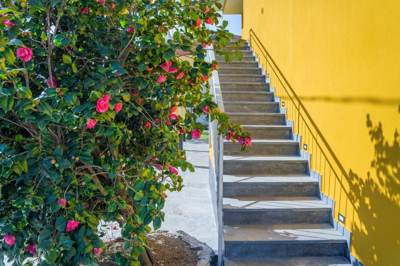 Agricanto Sestri Levante Exteriér fotografie